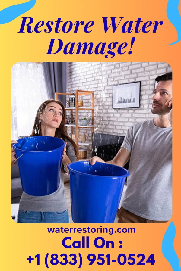 water restoration Pinnacle Water Removal Masters Laurel Hill